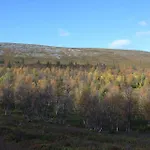 Leirintäalueet Kyrön Loma *