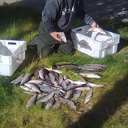 营地 Kyroen Loma *