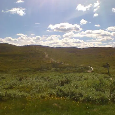 Kyroen Loma *