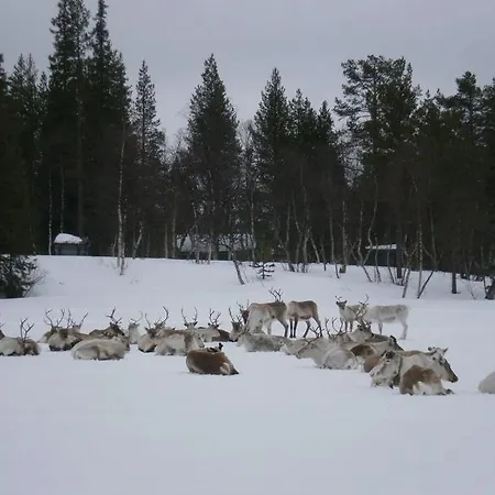 Kyroen Loma Кемпинг